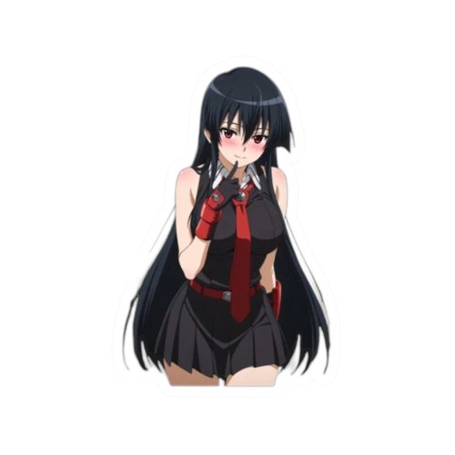 0417 Akame ga KILL Sticker - Image 10