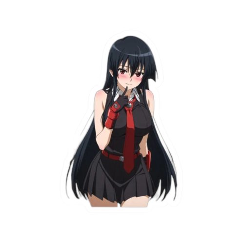 0417 Akame ga KILL Sticker - Image 1
